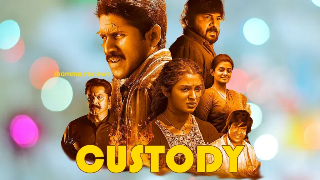 Custody movie